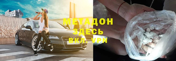 шишки Губаха