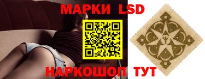 индика Аргун