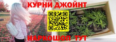 индика Аргун