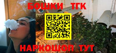 индика Аргун