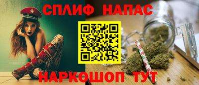 индика Аргун
