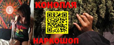 индика Аргун