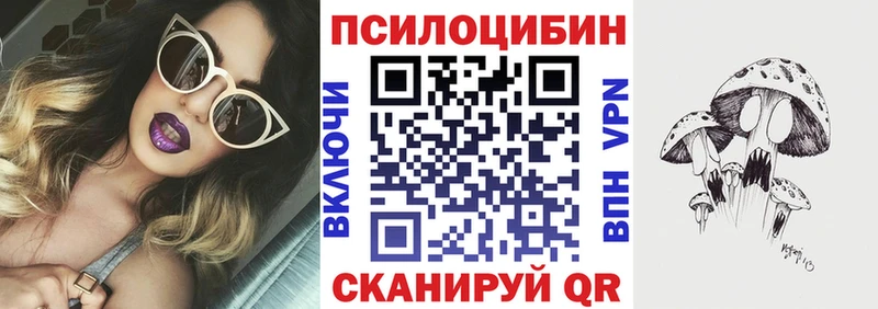 Псилоцибиновые грибы мухоморы  купить наркотик  Ахтубинск 