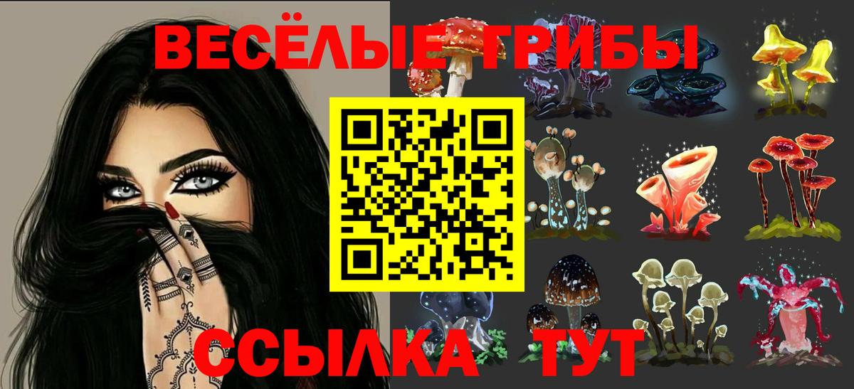 Галлюциногенные грибы ЛСД Ахтубинск